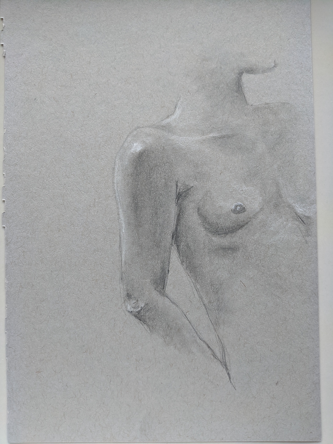 A woman half hidden by the edge of the page. She has a lovely collarbone. Drawn with smoothed shadows.