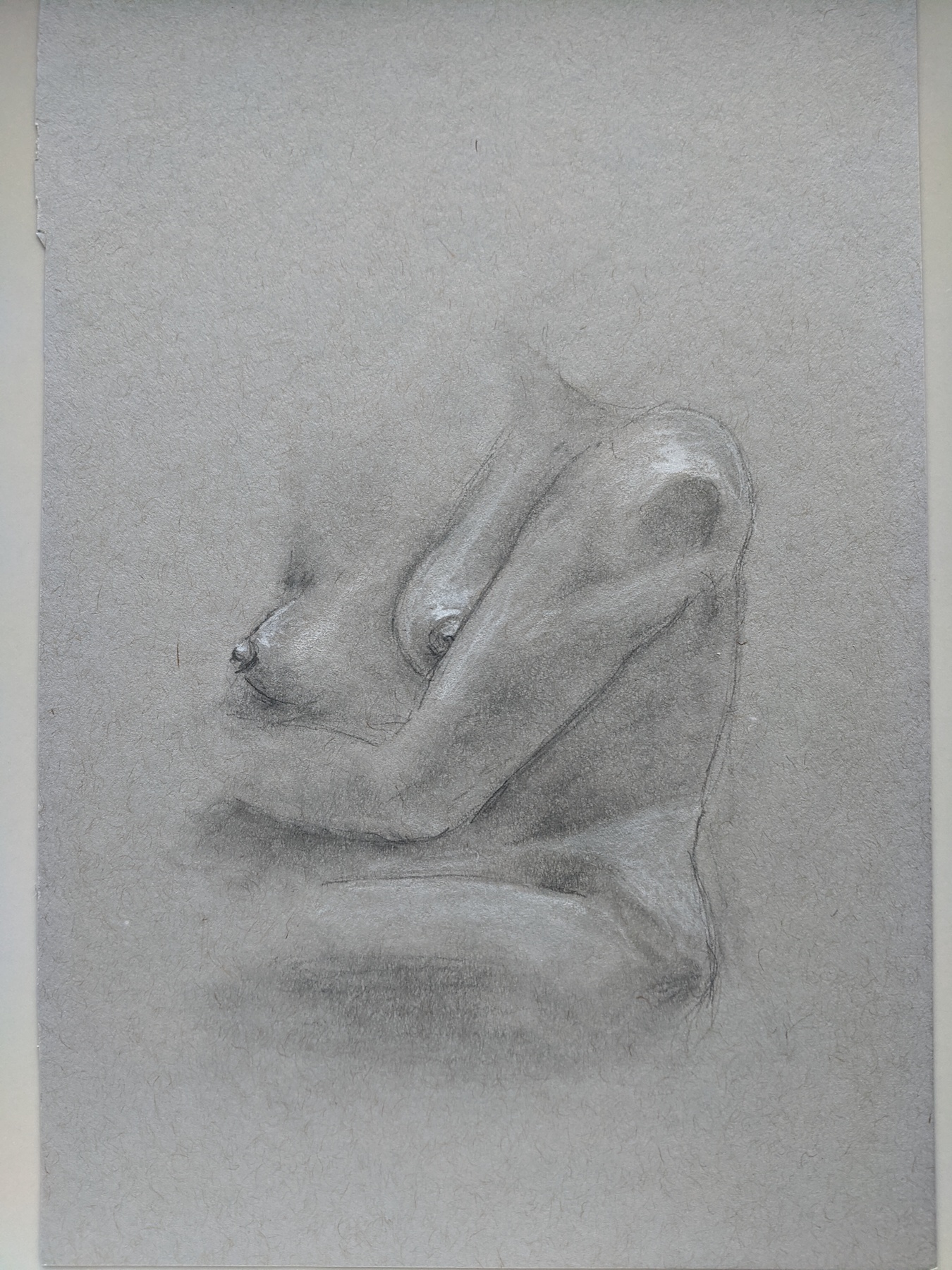 A woman with her arm squishing her boobies. There's a gleaming highligh on her shoulder. Drawn with smoothed shadows.